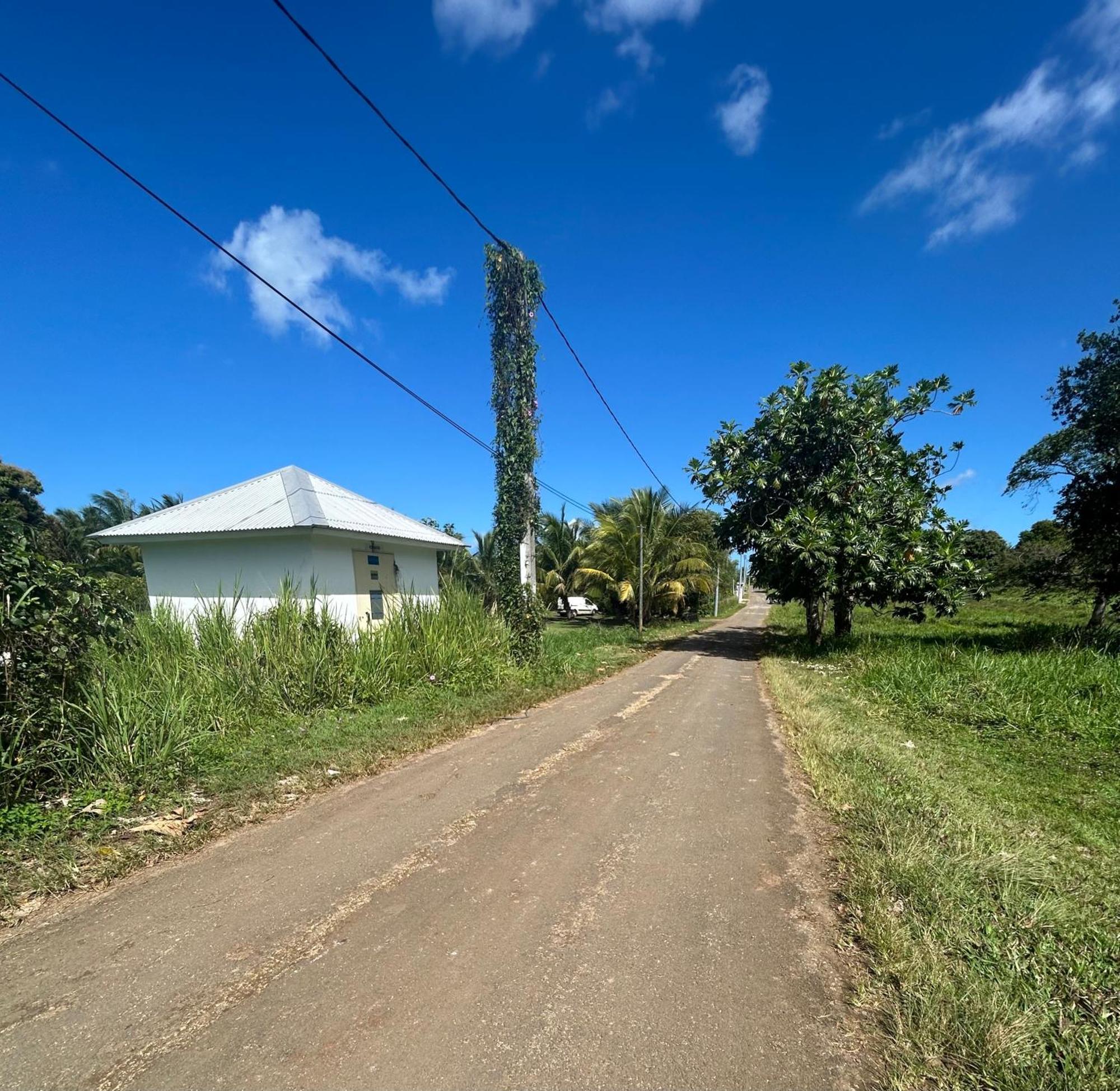 Joli Bungalow Fleuri Les Abymes Exterior photo